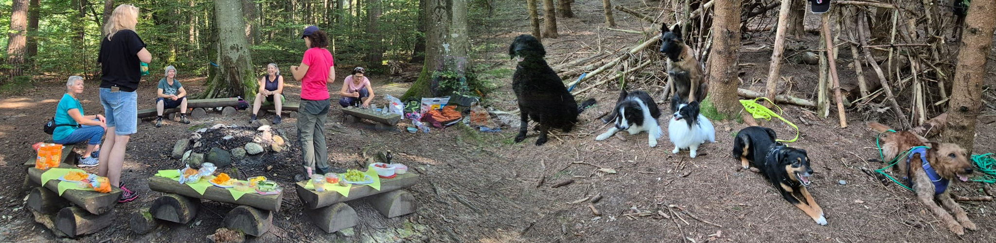 hspu ueberuns 1920x500